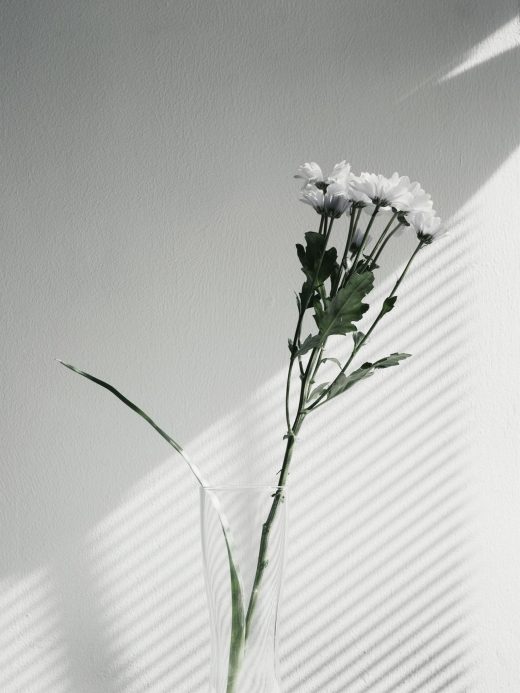 Glass Vase