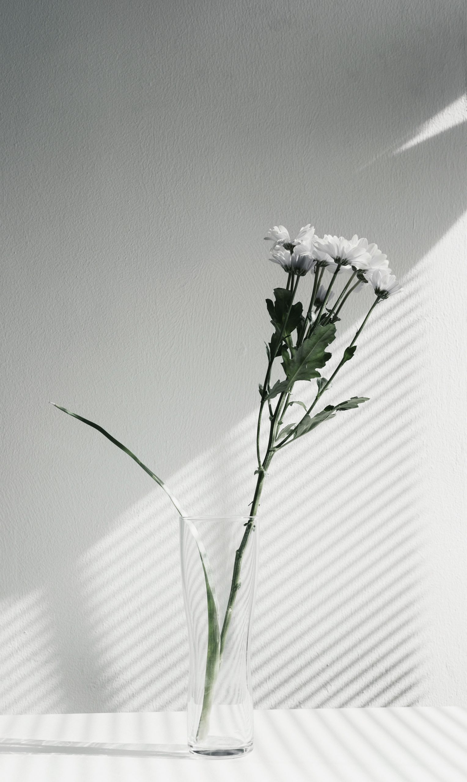Glass Vase